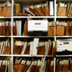 Image for article titled How to Delete Space-Hogging 'Other' Files on Your Mac